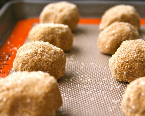 sugar crusted ginger cookies