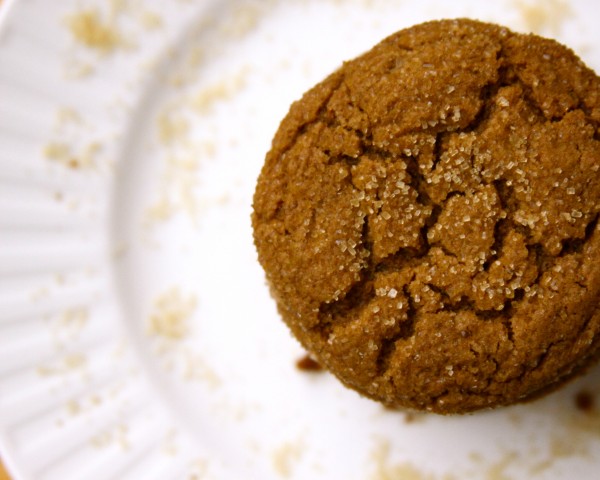 sugar crusted ginger cookies