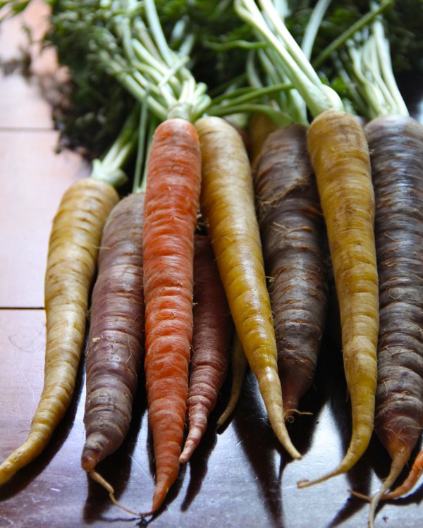  roasted organic carrots with dill