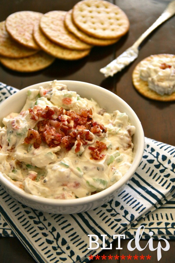 Bleu Cheese Bacon & Tomato Dip Mix