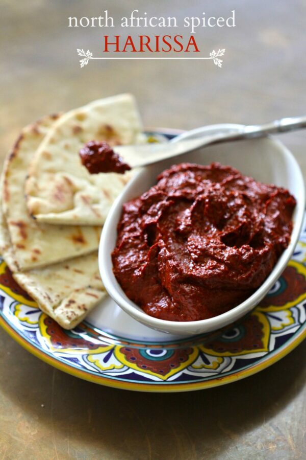 north african spiced harissa with grilled pita www.climbinggriermountain.com