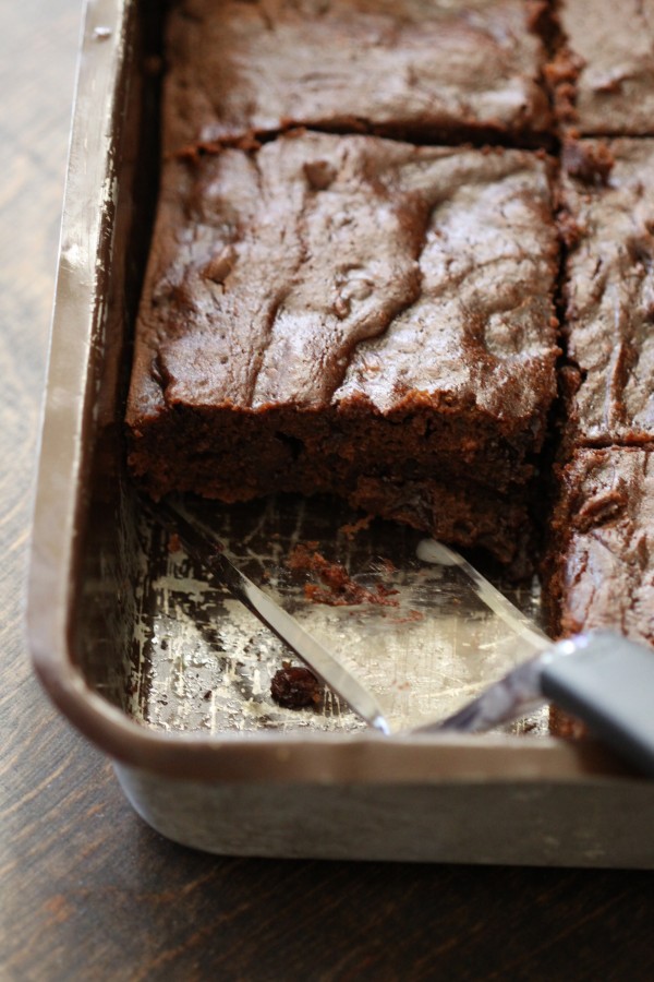 pumpkin brownies with brown sugar icing & candied pecans www.climbinggriermountain.com