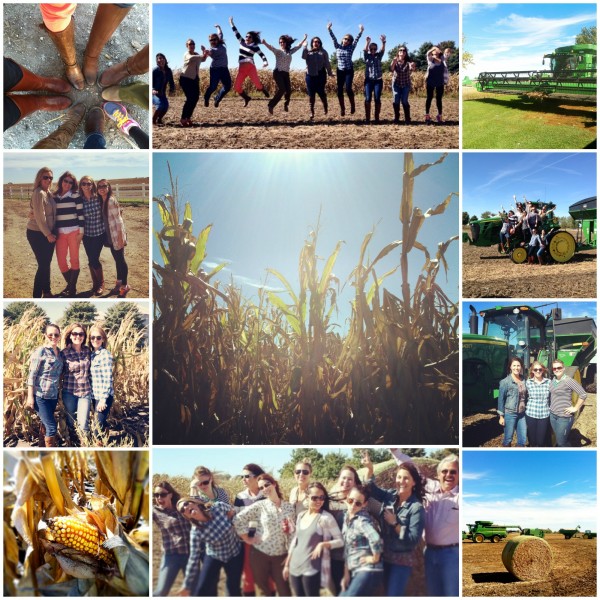 farm collage