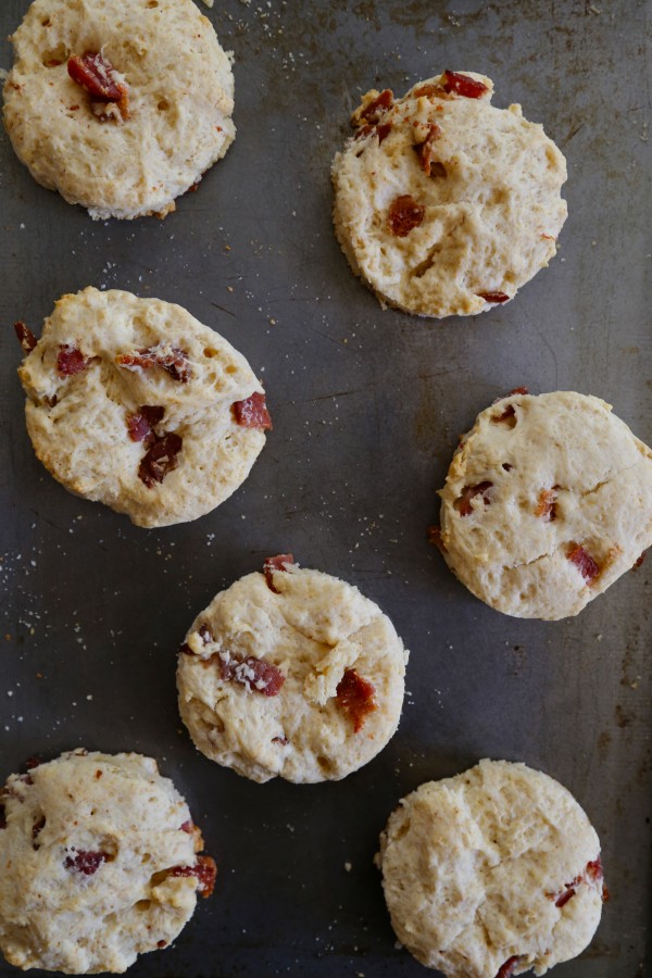 easy buttermilk bacon biscuits with harissa butter www.climbinggriermountain.com
