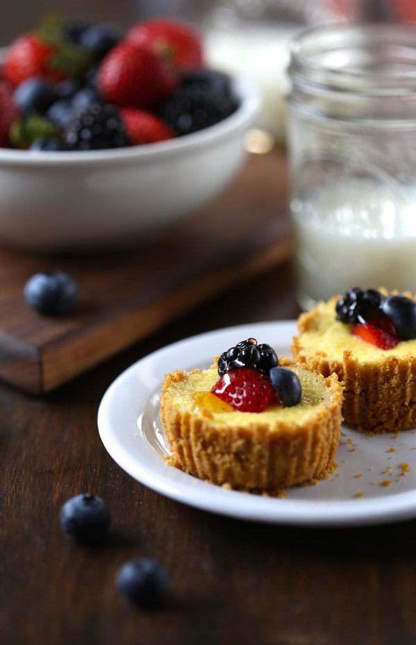 breakfast cheesecakes with lemon greek yogurt & fresh berries www.climbinggriermountain.com