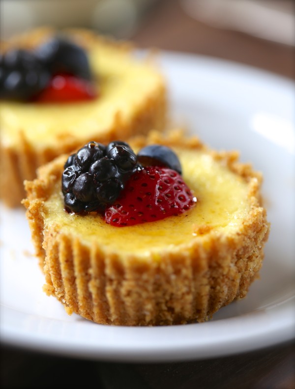 breakfast cheesecakes with lemon greek yogurt & fresh berries www.climbinggriermountain.com