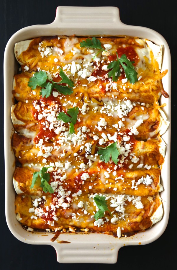 moroccan spiced chicken enchiladas with harissa red sauce