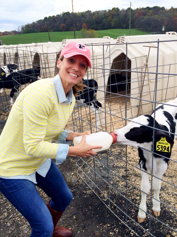 trip recap: ohio american dairy adventure 