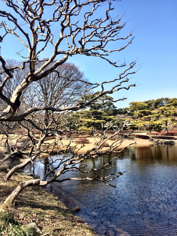 trip recap: tokyo japan day one www.climbinggriermountain.com