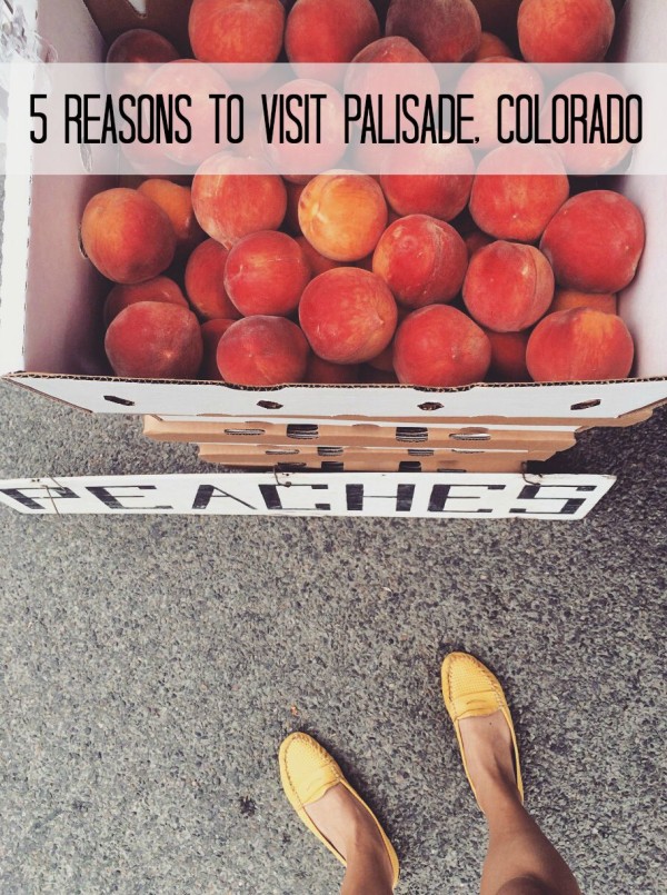 5 reasons to visit palisade colorado www.climbinggriermountain.com