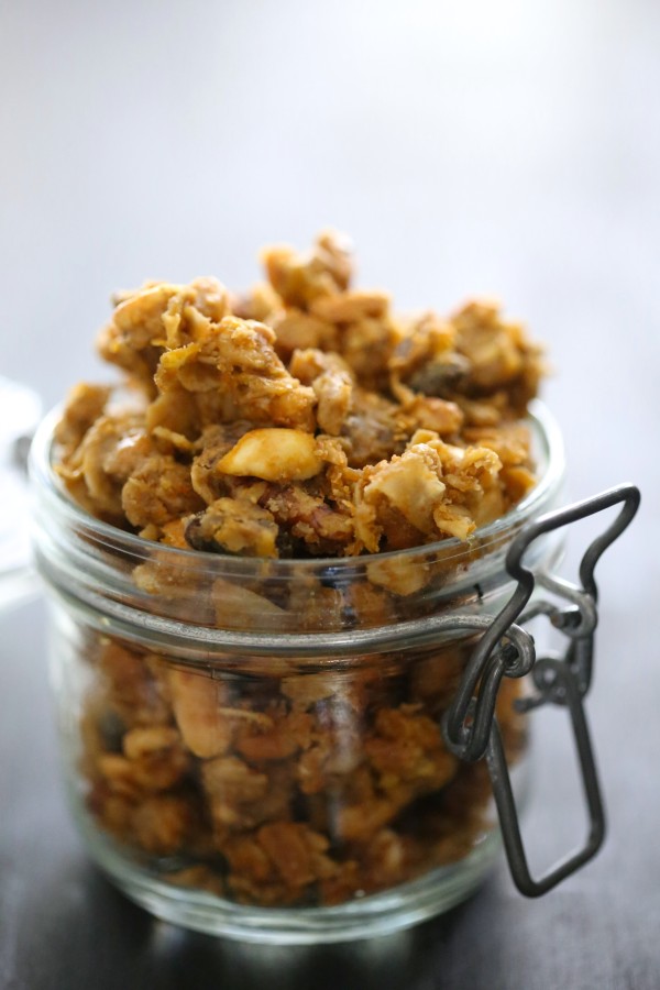 Chocolate Peanut Butter Pumpkin Granola  www.climbinggriermountain.com 1