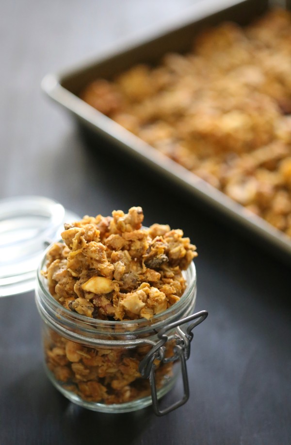 Chocolate Peanut Butter Pumpkin Granola www.climbinggriermountain.com II