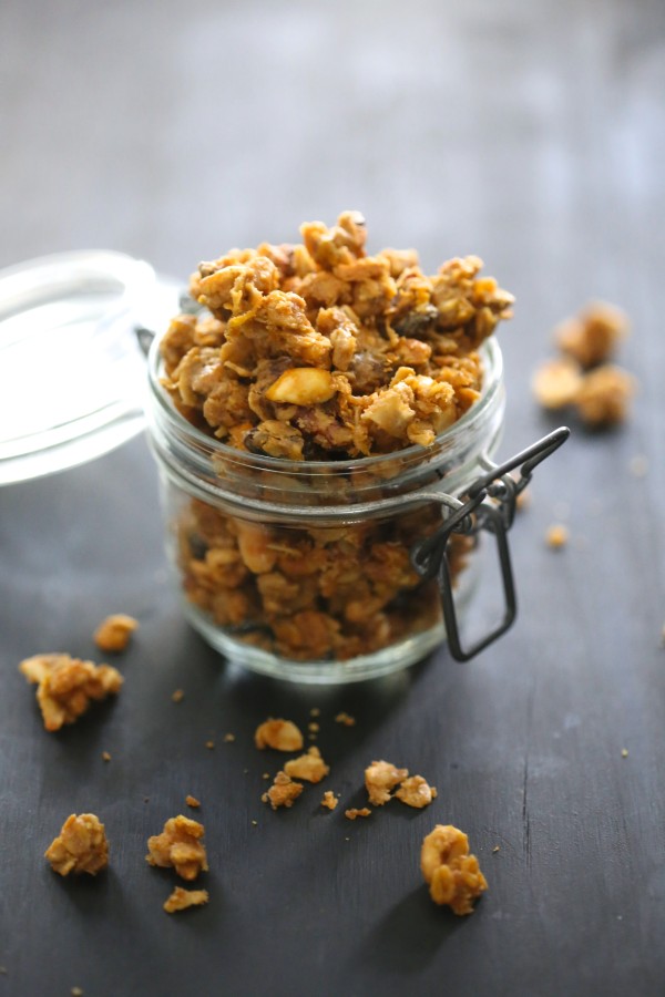 Chocolate Peanut Butter Pumpkin Granola www.climbinggriermountain.com