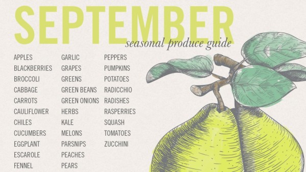 September-Seasonal-Produce-Guide-1024x576