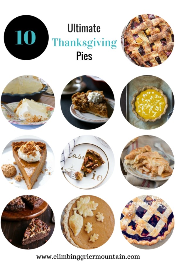 Thanksgiving Pies (3)