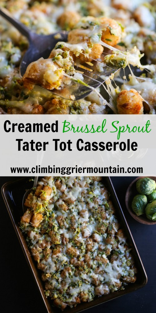 creamed brussel sprout tater tot casserole www.climbinggriermountain.com IV