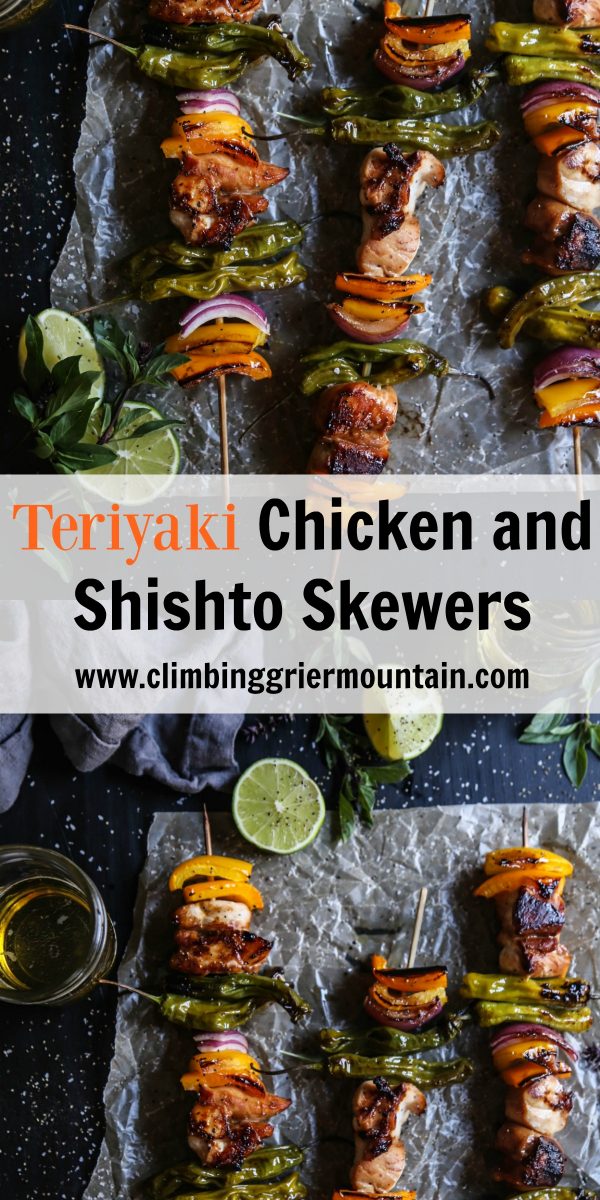 Grilled Skewered Shishito Peppers With Teriyaki Glaze Recipe