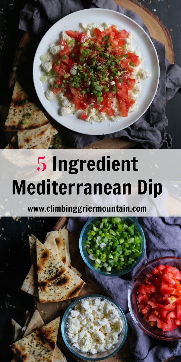 5 Ingredient Mediterranean Dip-2