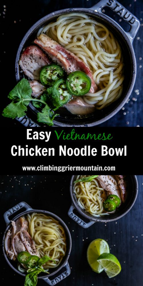 Easy Vietnamese Chicken Noodle Bowl