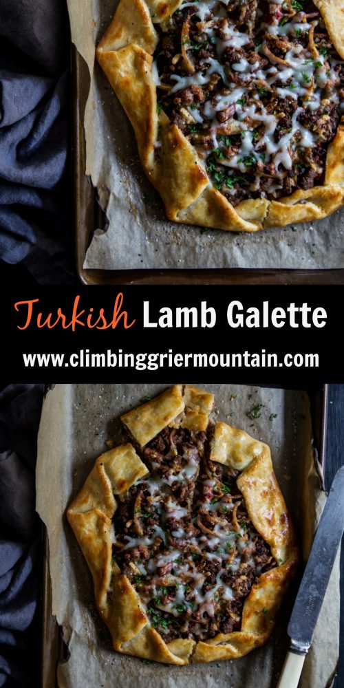 Turkish Lamb Galette