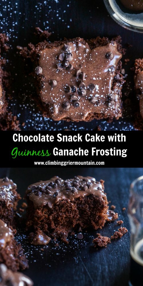 Chocolate Snack Cake with Guinness Ganache Frosting