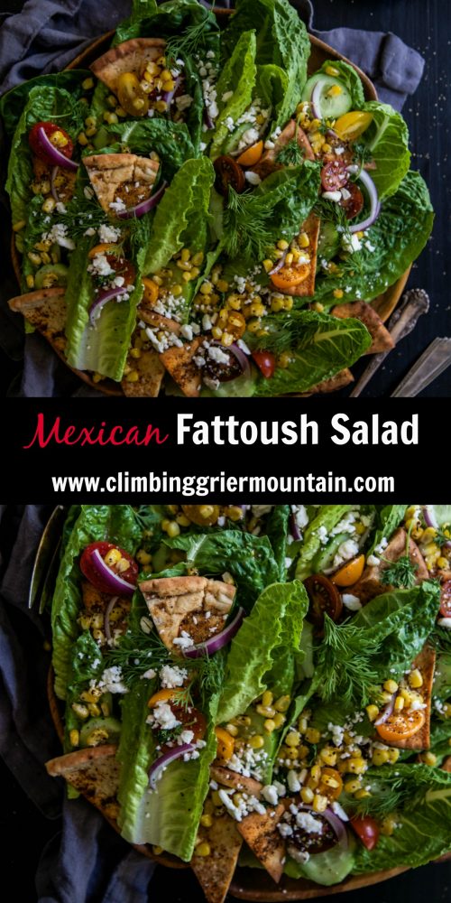 Mexican Fattoush Salad