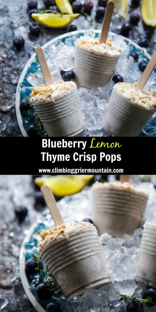 Blueberry Lemon Thyme Crisp Pops
