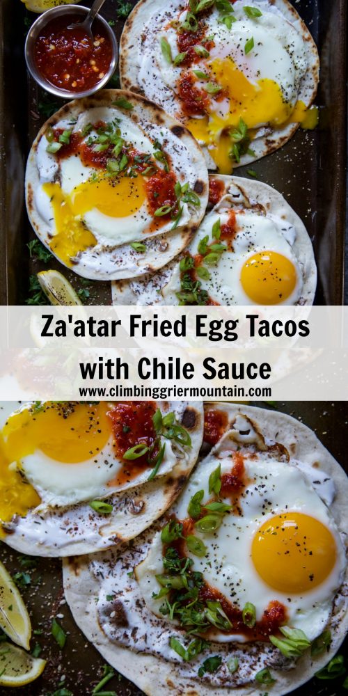 Za'atar Fried Egg Tacos with Chile Sauce