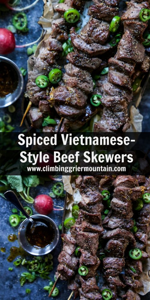 Spiced Vietnamese-Style Beef Skewers