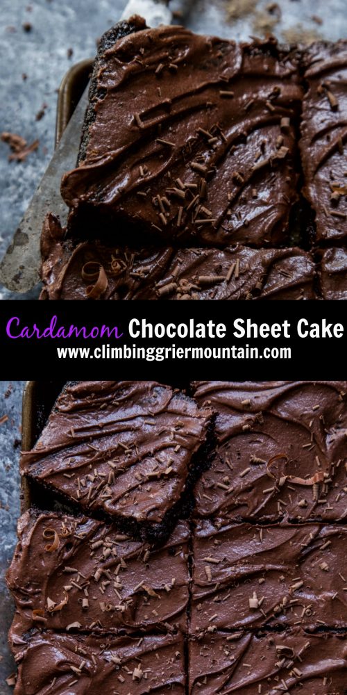 Cardamom Chocolate Sheet Cake