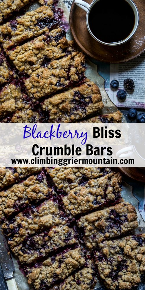 Blackberry Bliss Crumble Bars