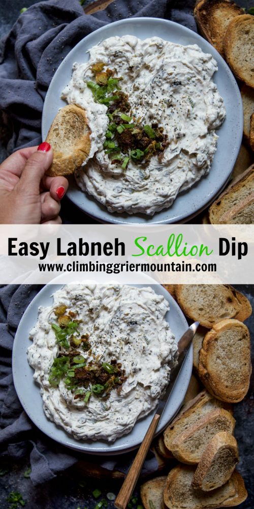 Easy Labneh Scallion Dip