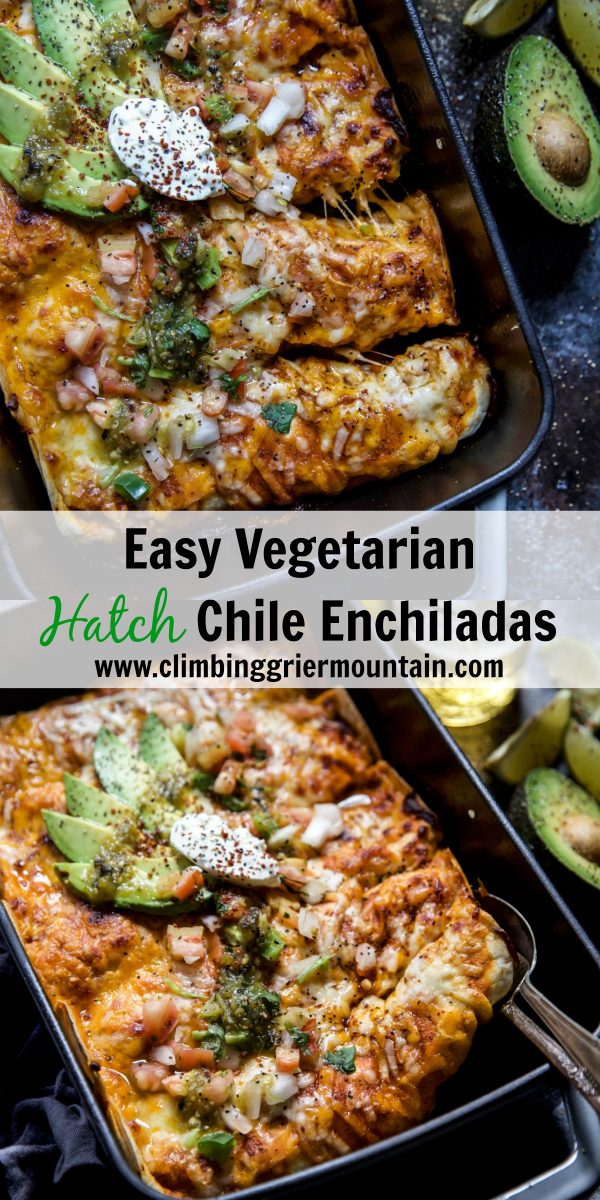 Easy Vegetarian Hatch Chile Enchiladas - The Curious Plate