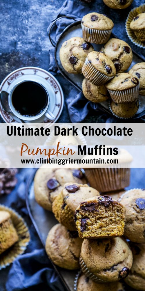 Ultimate Dark Chocolate Pumpkin Muffins
