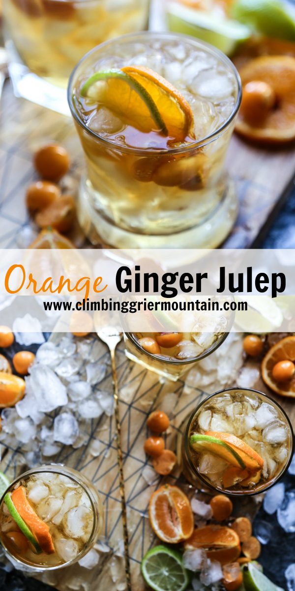 Orange Ginger Julep