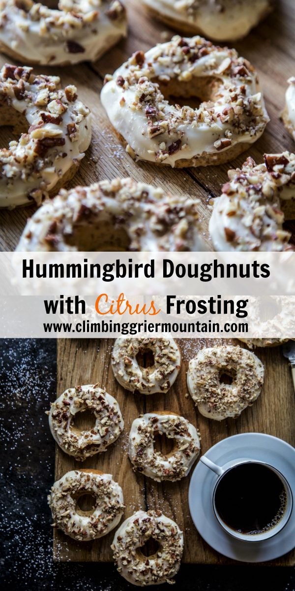 Hummingbird Doughnuts with Citrus Frosting