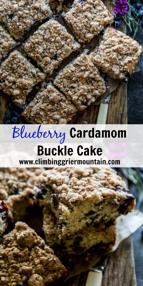 Blueberry Cardamom Buckle Cake