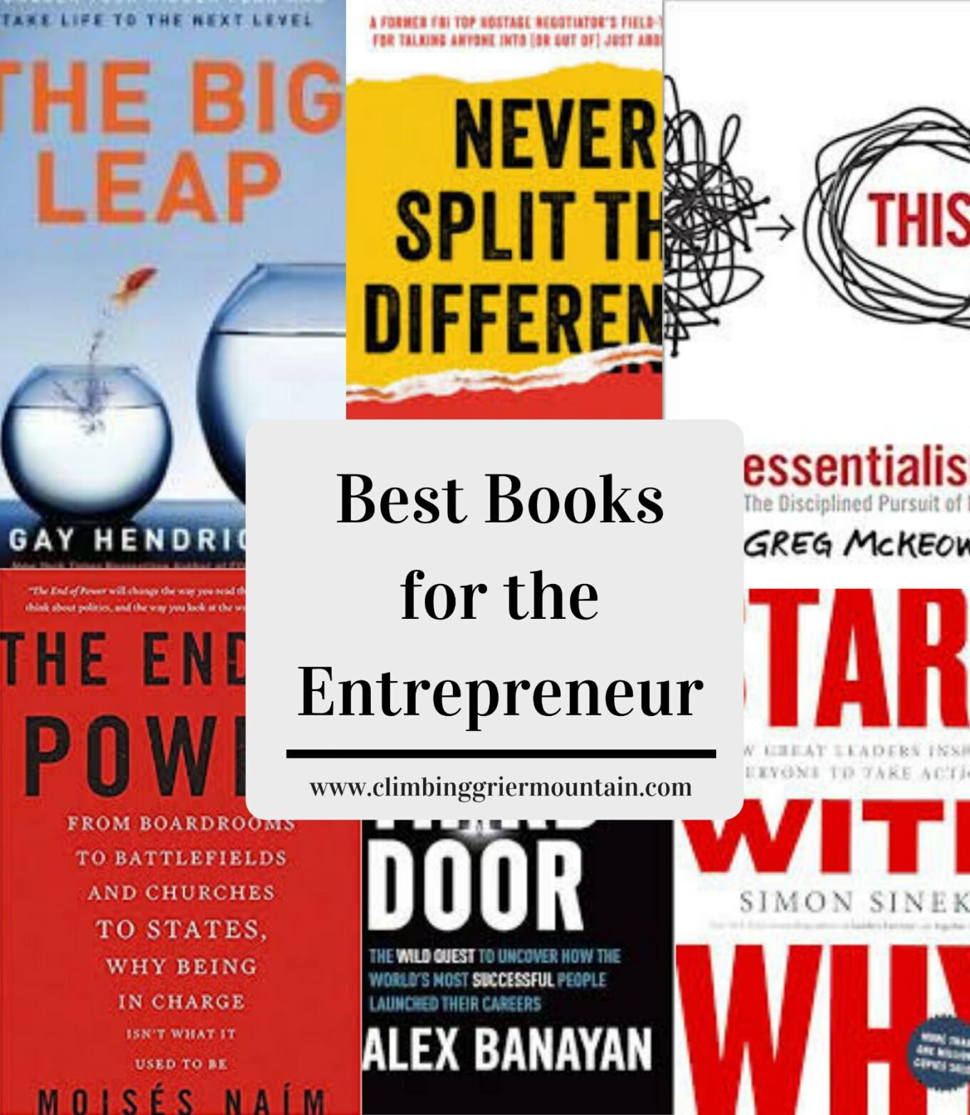 Best Books for Entrepreneurs