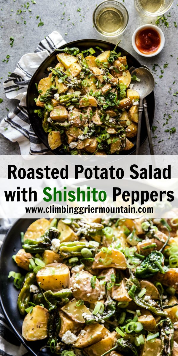 Roasted Potato Salad with Shishito Peppers