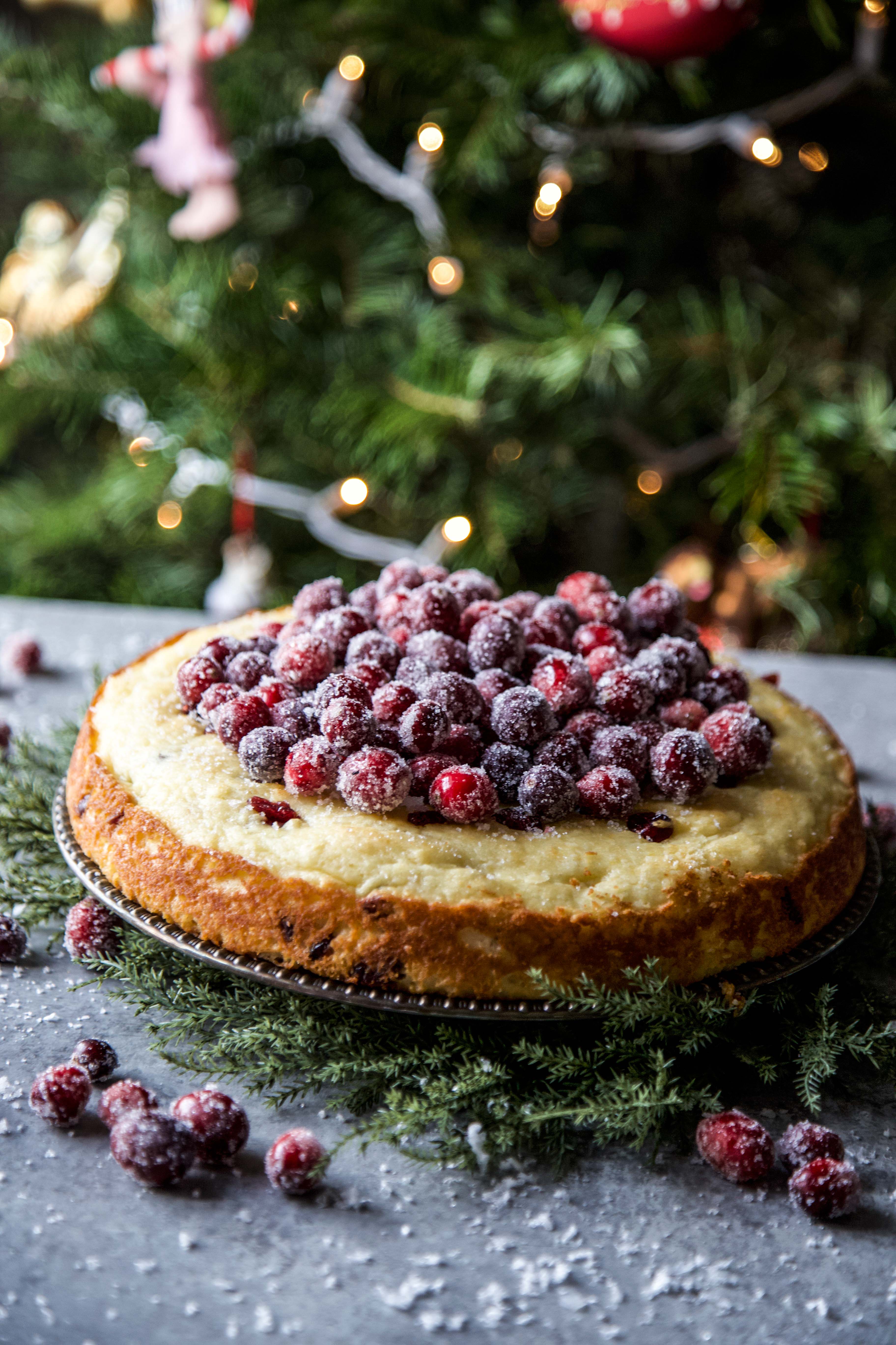 Easy Cranberry Ricotta Cake