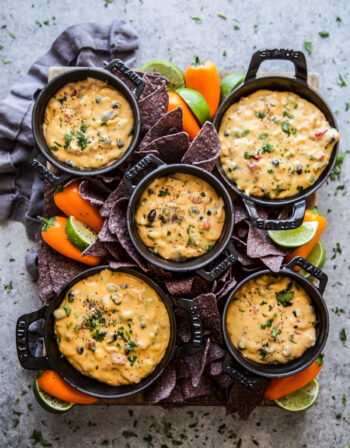 slow cooker tex mex queso